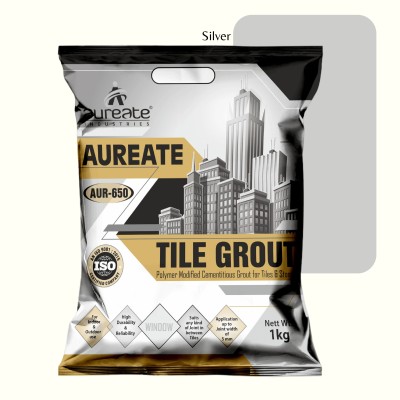 Aureate Polymer Modified Cementitious Tile Grout (Silver) Crack Filler(1 kg)