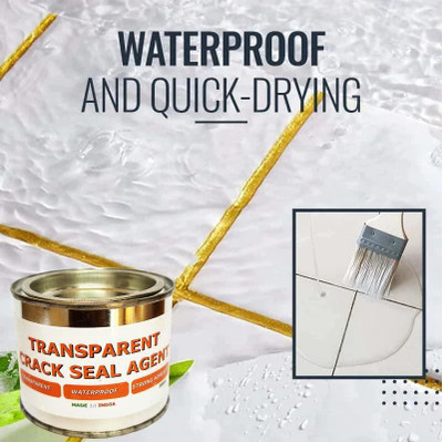 ASTOUND Invisible Waterproof Agent for Repairing Leak Crack Filler(300 g)