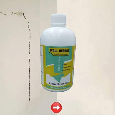ASTOUND Wall Crack Filler paste For Wall, Wood & Plaster Crack Filler(250 ml)