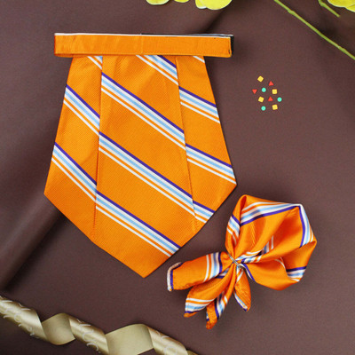 PELUCHE Snappy Striped Cravat(Pack of 2)