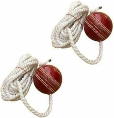 SS Creation Knocking Ball Standard Bail(Pack of  2)