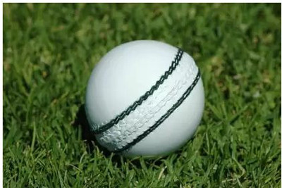 APPSS SPORTS 770 Standard Bail(Pack of  1)