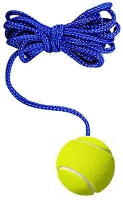 Flashrun Cricket Tennis Hanging Practice ball Heavy for Indoor/Outdoor Knocking Standard Bail(Pack of  1)