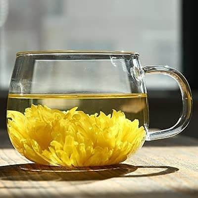 GTR Glass(Clear, Cup)