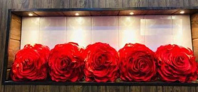 NOOR SHINE Satin Cushions Cover(40 cm*40 cm, Pack of 5, Red)