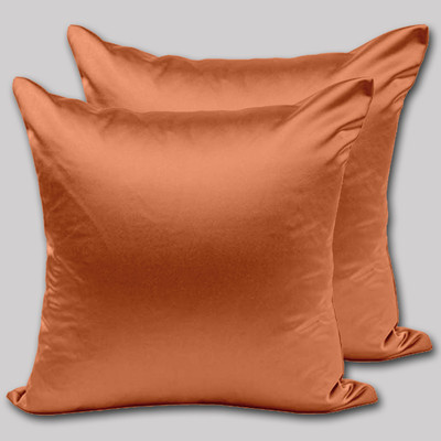 Avirons Silk Cushions Cover(61 cm*61 cm, Pack of 2, Pink)