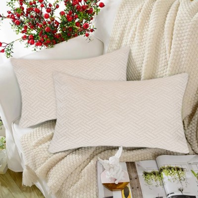 Tesmare Velvet Cushions & Pillows Cover(Pack of 2, 30 cm*45 cm, Beige)