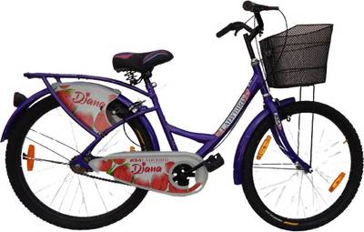 Bsa hybrid cycle 2025
