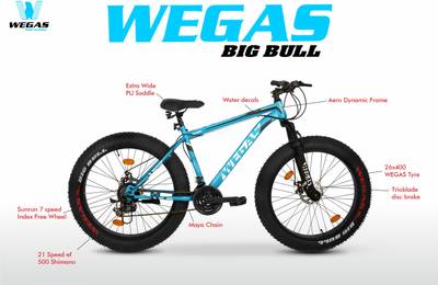 Fat cycle price under 10000 deals