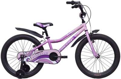 FIREFOX Stormyum 2.40 20 T Roadster Cycle(Single Speed, Purple, Black, Rigid)