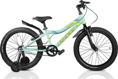 CRADIAC REVERSE GREEN 20 T Mountain Cycle