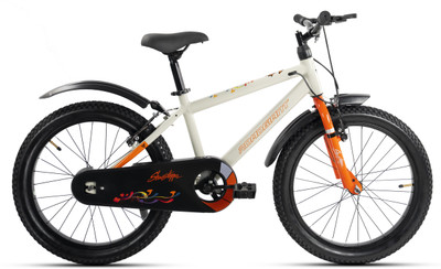 RoadGiant SHOWSTOPPER20T||MTB||SteelBicycle||DualDiscBrakes||SingleSpeed||FrontSuspension 20 T (inch) Mountain Cycle(Single Speed, Grey, Front Rigid & Rear Suspension)