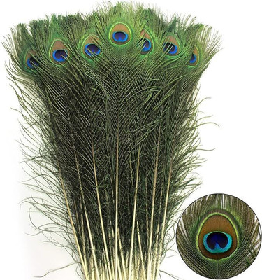 Rajmart Global Pack of 10 Decorative Feathers(22 Inch Peacock Feather)