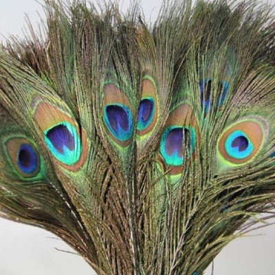 Rajmart Global Pack of 10 Decorative Feathers(16-18 Inch Peacock Feather Mor Pankh for Festive & Krishna Ji Decoration Peacock Feather)