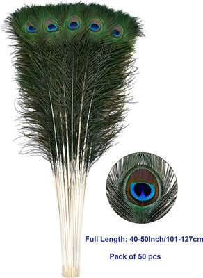 AtLoGs Pack of 50 Decorative Feathers(Full Length 101-127cm / 40-50inch Peacock Feather)