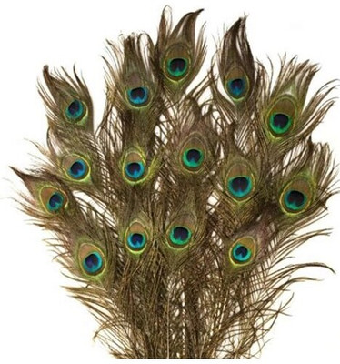 AMR Pack of 15 Decorative Feathers(40 Peacock Feather)