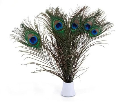 Raga Plus Pack of 15 Decorative Feathers(45 cm Peacock Feather)