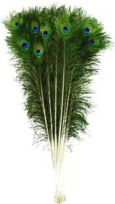 PARNAIRA Pack of 12 Decorative Feathers(45-50 Peacock Feather)