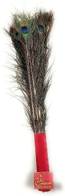 Raga Plus Pack of 10 Decorative Feathers(45 cm Peacock Feather)
