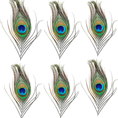 Rajmart Global Pack of 6 Decorative Feathers(8 CM Cutting Mor Pankh Tail Eyes for Temple Décor, Book Mark & Home Décoration Peacock Feather)