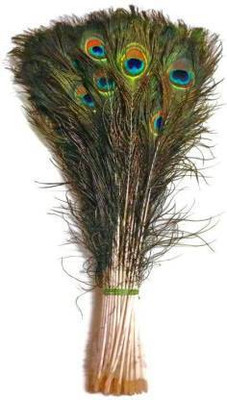 Raga Plus Pack of 25 Decorative Feathers(45 CM Peacock Feather)