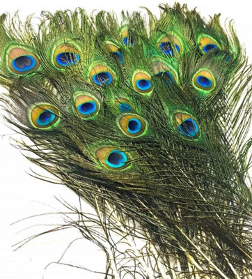 fashnita Pack of 6 Decorative Feathers(45-50 cm Peacock Feather)