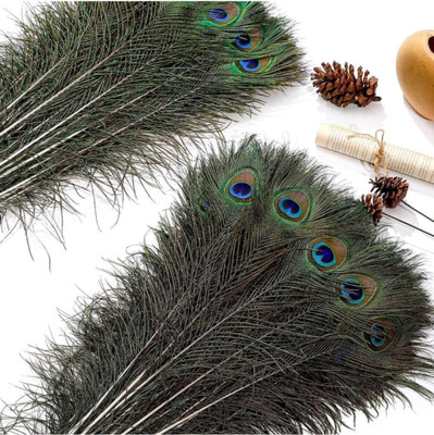 Turnaya Pack of 10 Decorative Feathers(20 Peacock Feather)