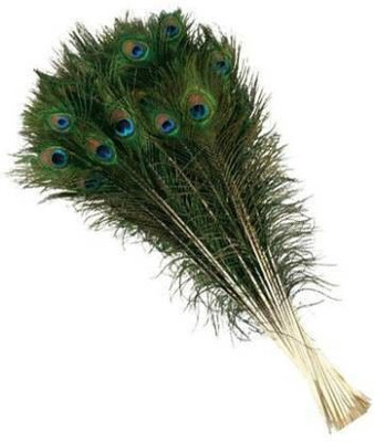 Urvi Pack of 12 Decorative Feathers(45 cm Peacock Feather)