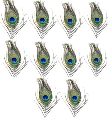 Rajmart Global Pack of 10 Decorative Feathers(8 CM Cutting Mor Pankh Tail Eyes for Temple Décor, Festive & Home Decoration Peacock Feather)