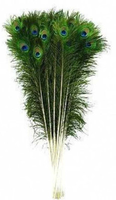 Rockjon Pack of 25 Decorative Feathers(40 Peacock Feather)
