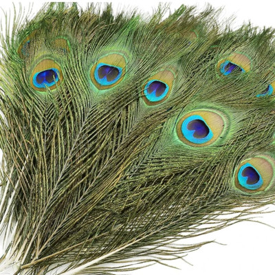 HomeGenie Pack of 50 Decorative Feathers(28cm Peacock Feather)