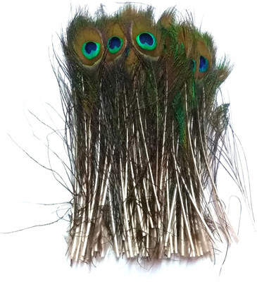 nawani Pack of 20 Decorative Feathers(35 Peacock Feather)
