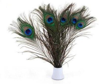 PARNAIRA Pack of 15 Decorative Feathers(15 - 20 Peacock Feather)