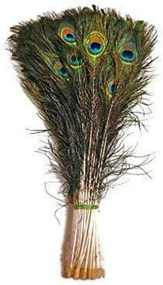 Rajmart Global Pack of 20 Decorative Feathers(45-50 cm Real Mor Pankh Peacock Feather)