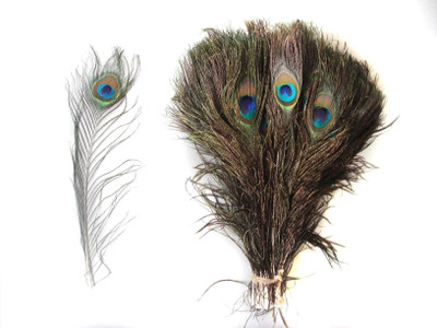 Urvi Pack of 10 Decorative Feathers(45 cm Peacock Feather)