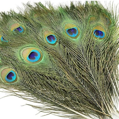 Rajmart Global Pack of 3 Decorative Feathers(20 Inch Original Mor Pankh for Temple and Home Decor Peacock Feather)