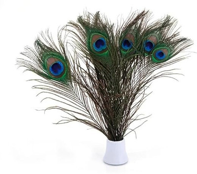 PARNAIRA Pack of 15 Decorative Feathers(15 - 20 Peacock Feather)