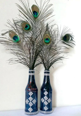 Raga Plus Pack of 70 Decorative Feathers(45 cm Peacock Feather)