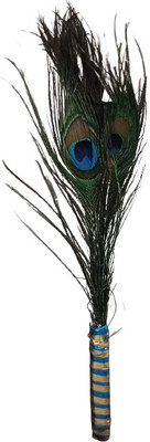 The Startup Bazaar Pack of 1 Decorative Feathers(4 Peacock Feather)