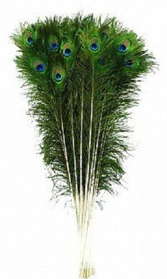 belaver Pack of 25 Decorative Feathers(20 Peacock Feather)
