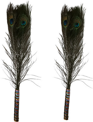 The Startup Bazaar Pack of 2 Decorative Feathers(12 Peacock Feather)