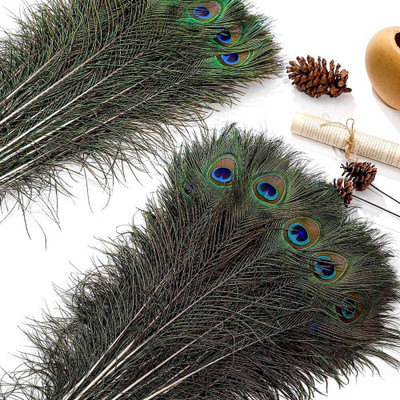 Raga Plus Pack of 5 Decorative Feathers(45 cm Peacock Feather)