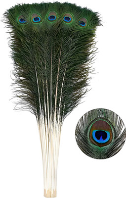 AtLoGs Pack of 25 Decorative Feathers(Full Length 101-127cm / 40-50inch Peacock Feather)