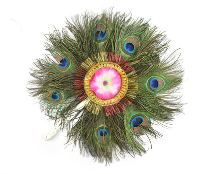 AKI Pack of 1 Decorative Feathers(38CM Peacock Feather)