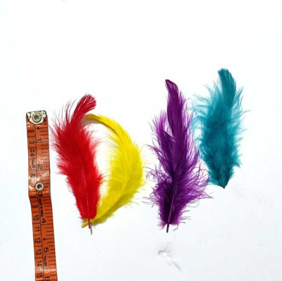 VedaX Pack of 100 Decorative Feathers(Royal & luxurious, Premium Artificial Decorative Feathers. Synthetic Material)