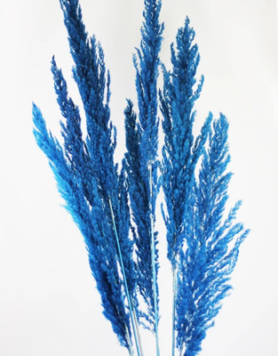 Sorcish Pack of 12 Decorative Feathers(66 Synthetic Material) deal from flipkart