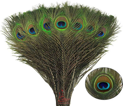 Urvi Pack of 100 Decorative Feathers(45 cm Peacock Feather)