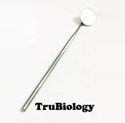 TRU BIOLOGY Dental Mouth Mirror (Pack of 2Pcs) Dental Elevator