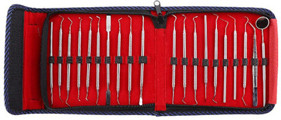 Waldent Conservative Instrument Kit of 20 Dental Elevator