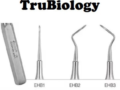 TRU BIOLOGY Root Elevators Root Tip Pick, Set of 3 pc Dental Elevator